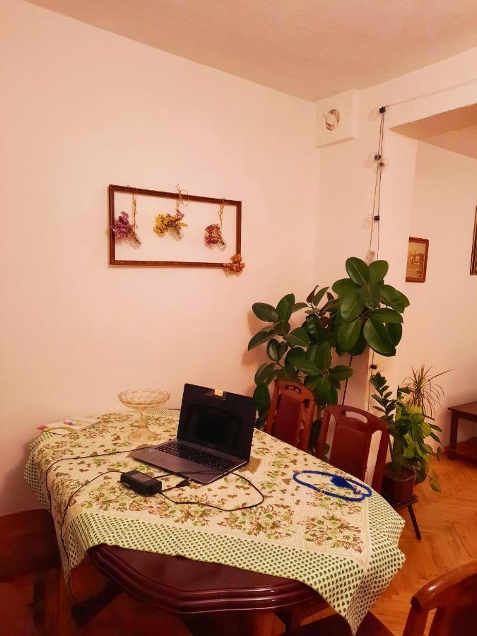Sunshine House Villa Pančevo Buitenkant foto