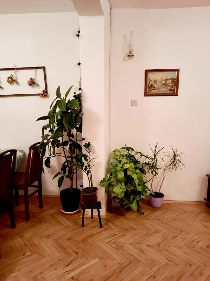 Sunshine House Villa Pančevo Buitenkant foto