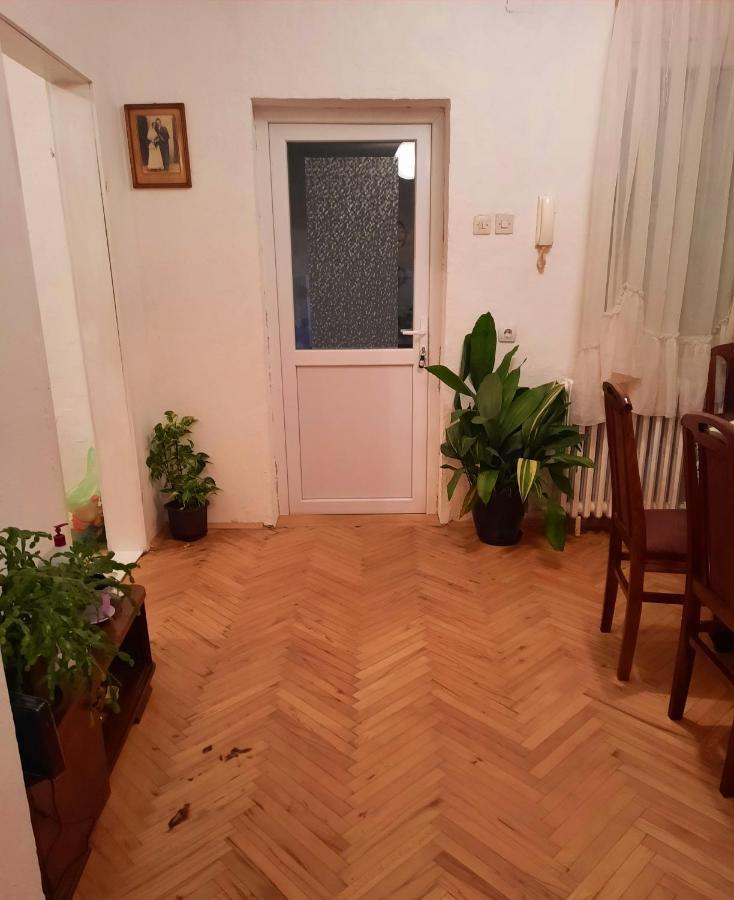 Sunshine House Villa Pančevo Buitenkant foto