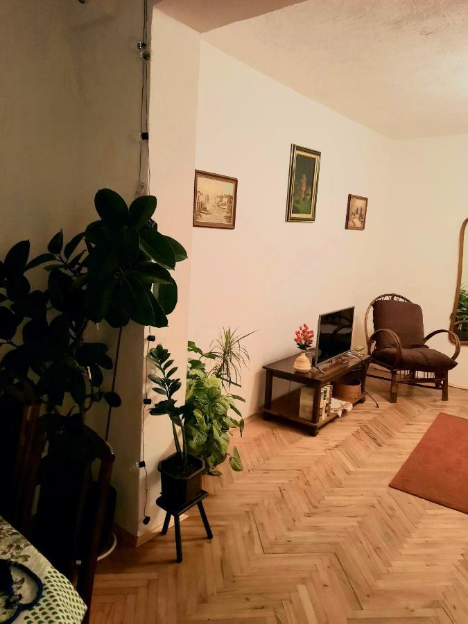Sunshine House Villa Pančevo Buitenkant foto